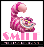 Smile Your Face Deserves It Funny Canvas Print Fridge Magnet 8x8 Large