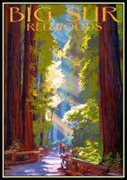 Big Sur Redwoods California Travel Poster Fridge Magnet 6x8 Large