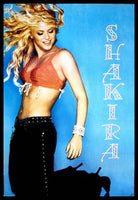 Shakira Latin Pop Star Poster Fridge Magnet 6x8 Large