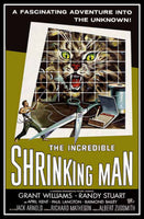 The Incredible Shrinking Man Movie Poster Fridge Magnet 6x8 Large