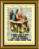 Alice in Wonderland Quote Magnetic Canvas Print FRIDGE MAGNET 6x8 Large
