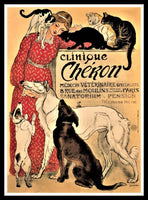 Clinique Cheron France Veterinarian Poster Fridge Magnet 6x8 Large
