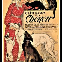 Clinique Cheron France Veterinarian Poster Fridge Magnet 6x8 Large