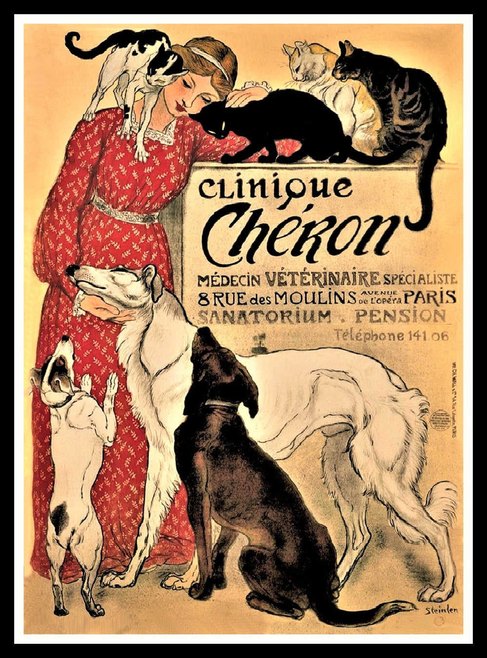 Clinique Cheron France Veterinarian Poster Fridge Magnet 6x8 Large