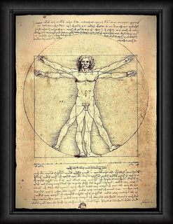 Leonardo da Vinci Vitruvian Man Poster Canvas Print Fridge Magnet 6x8 Large