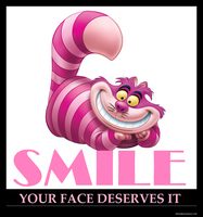 Smile Your Face Deserves It Funny Canvas Print Fridge Magnet 8x8 Large
