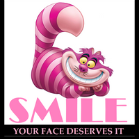 Smile Your Face Deserves It Funny Canvas Print Fridge Magnet 8x8 Large