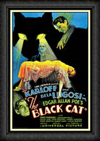 The Black Cat Bela Lugosi Movie Poster Fridge Magnet 6x8 Large
