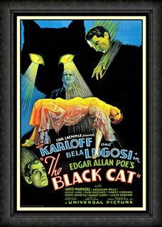 The Black Cat Bela Lugosi Movie Poster Fridge Magnet 6x8 Large