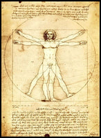 Leonardo da Vinci Vitruvian Man Poster Fridge Magnet 6x8 Large
