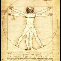 Leonardo da Vinci Vitruvian Man Poster Canvas Print Fridge Magnet 6x8 Large