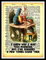 Alice in Wonderland Quote FRIDGE MAGNET 6x8 Magnetic Art Poster
