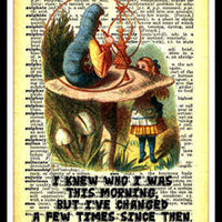Alice in Wonderland Quote FRIDGE MAGNET 6x8 Magnetic Art Poster