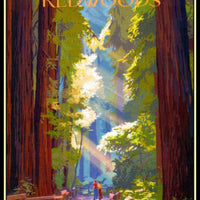 Big Sur Redwoods California Travel Poster Fridge Magnet 6x8 Large