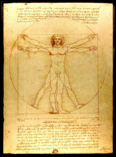 Leonardo da Vinci Vitruvian Man Poster Fridge Magnet 6x8 Large