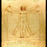Leonardo Da Vinci Vitruvian Man Poster Fridge Magnet 6x8 Large