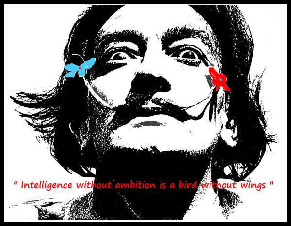 Salvador Dali Artist Quote Fridge Magnet Poster 6x8 Large