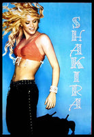Shakira Latin Pop Star Poster Fridge Magnet 6x8 Large
