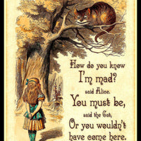 Alice in Wonderland Quote FRIDGE MAGNET 6x8 Magnetic Canvas Art Print
