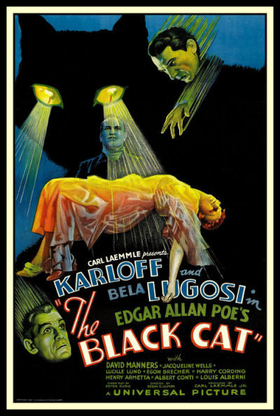 The Black Cat Bela Lugosi Movie Poster Fridge Magnet 6x8 Large