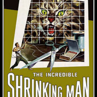 The Incredible Shrinking Man Movie Poster Fridge Magnet 6x8 Large