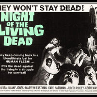 Night of The Living Dead Movie Poster Classic Horror Fridge Magnet 6x8 Large