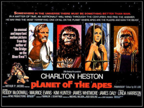 Planet of The Apes Charlton Heston Movie Poster Fridge Magnet 6x8 Large