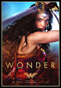 Wonder Woman Movie Poster Gal Gadot Fridge Magnet 6x8 Large